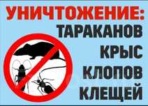 Уничтожение Тараканов Клопов Блох Клещей Комаров Крыс мышей насекомых