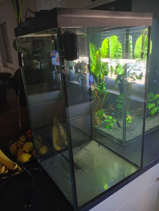 Akwarium 112 litrów pionowe z osprzętem