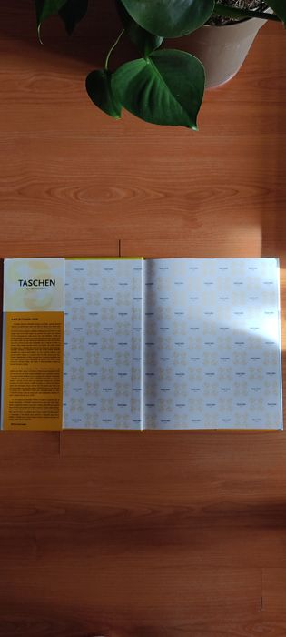 Minimal Art Daniel Marzona Edição Especial 25 Anos Taschen