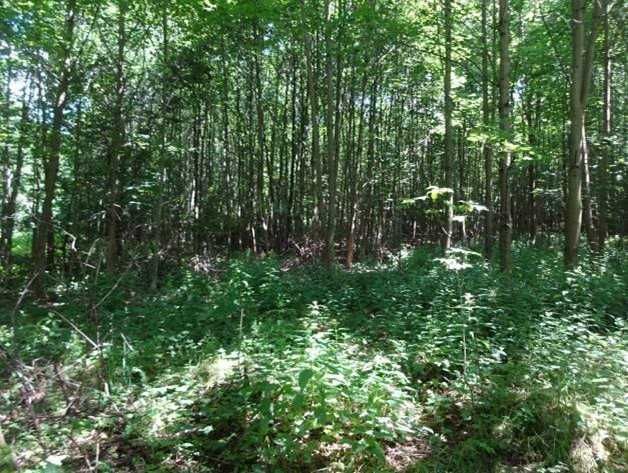 II licytacja nieruchomości w miejscowości Goworów