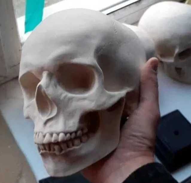 Декор из гипса. Череп человеческий. Череп человека.