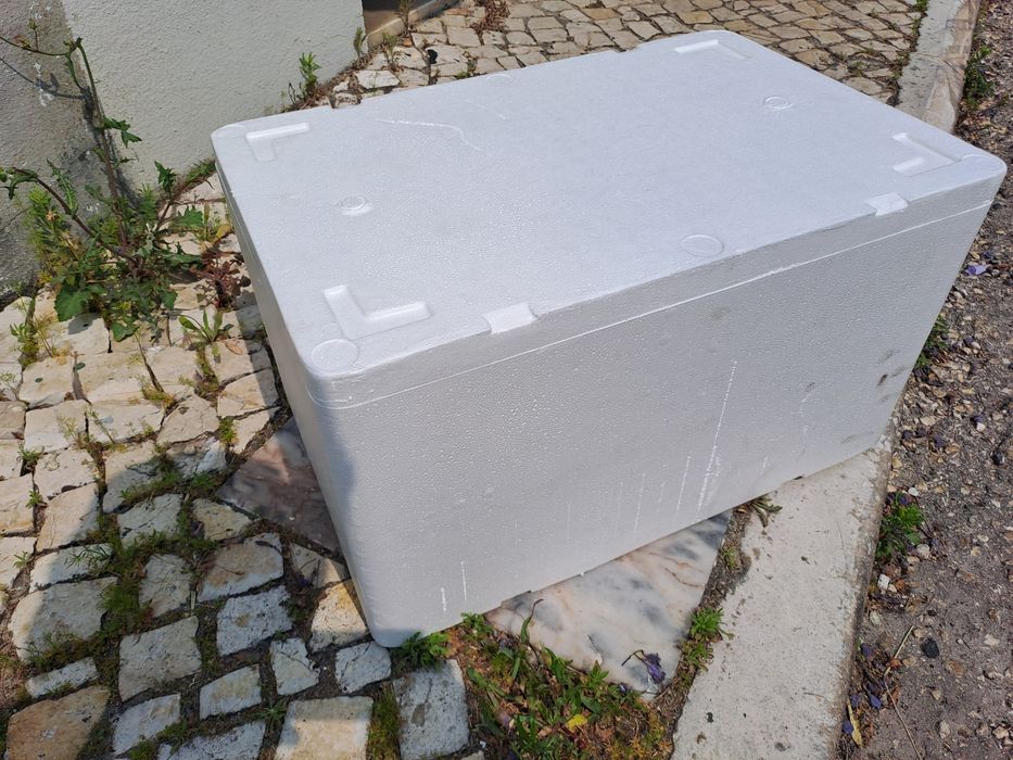 Caixa de esferovite transporte peixes aquário