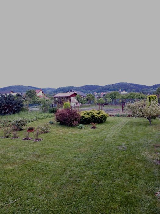 Ogróek działkowy z widokiem na Góry Złote - Złoty Stok - 750m2