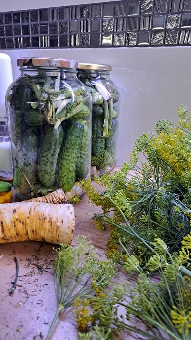 Buraczki domowej roboty i nie tylko...