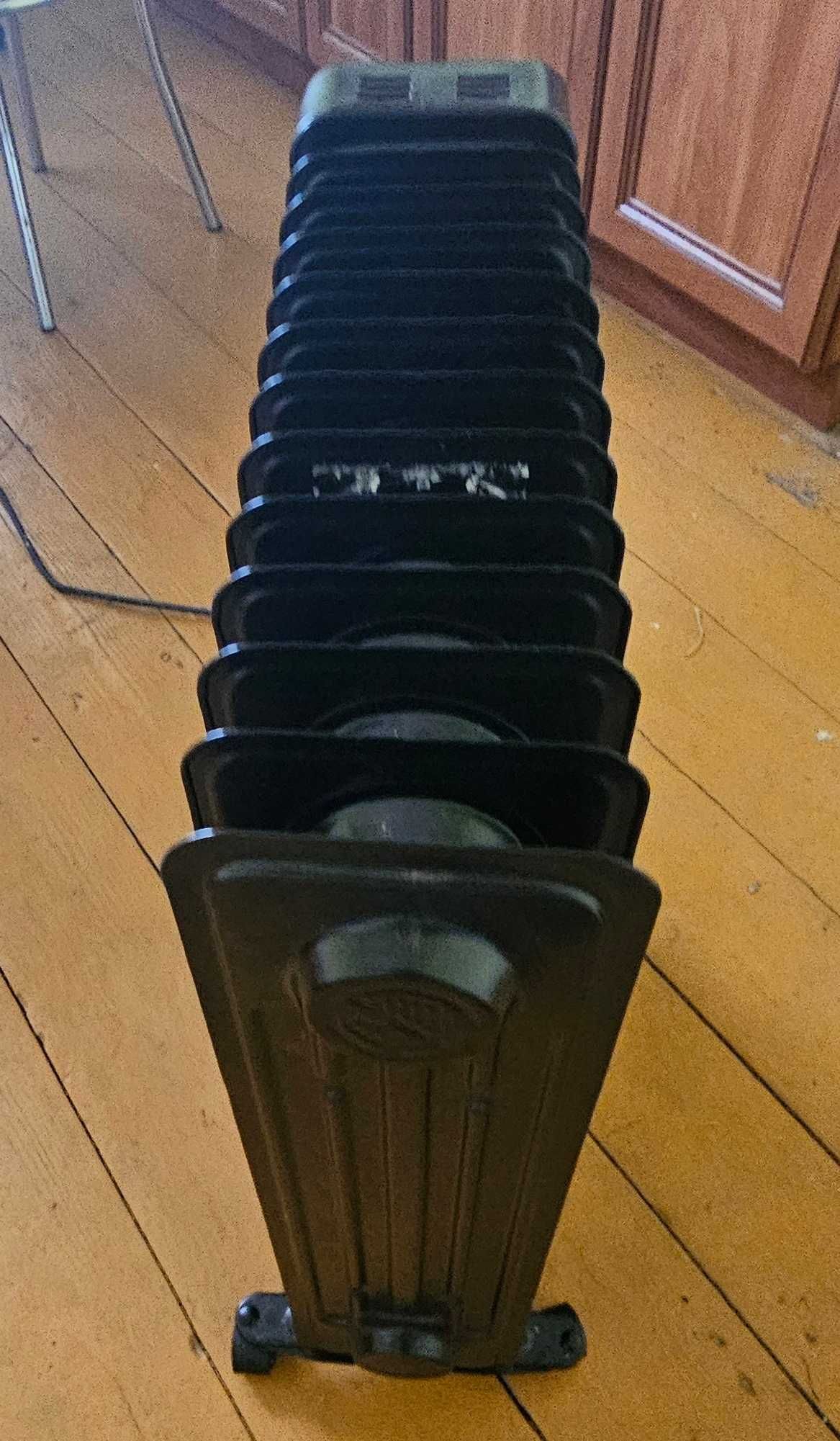Grzejnik olejowy 3000W #1