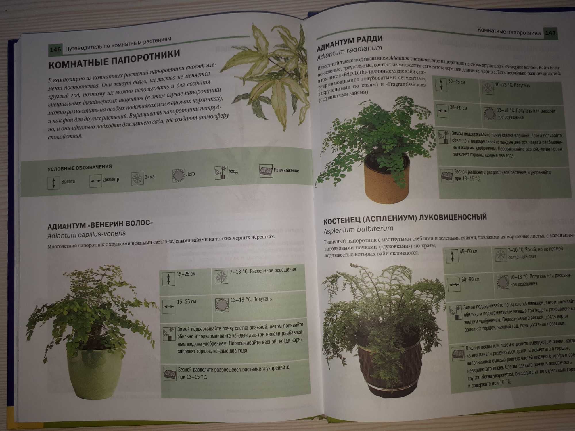 Энциклопедии "Домашнего хозяйства", " Комнатные растения"