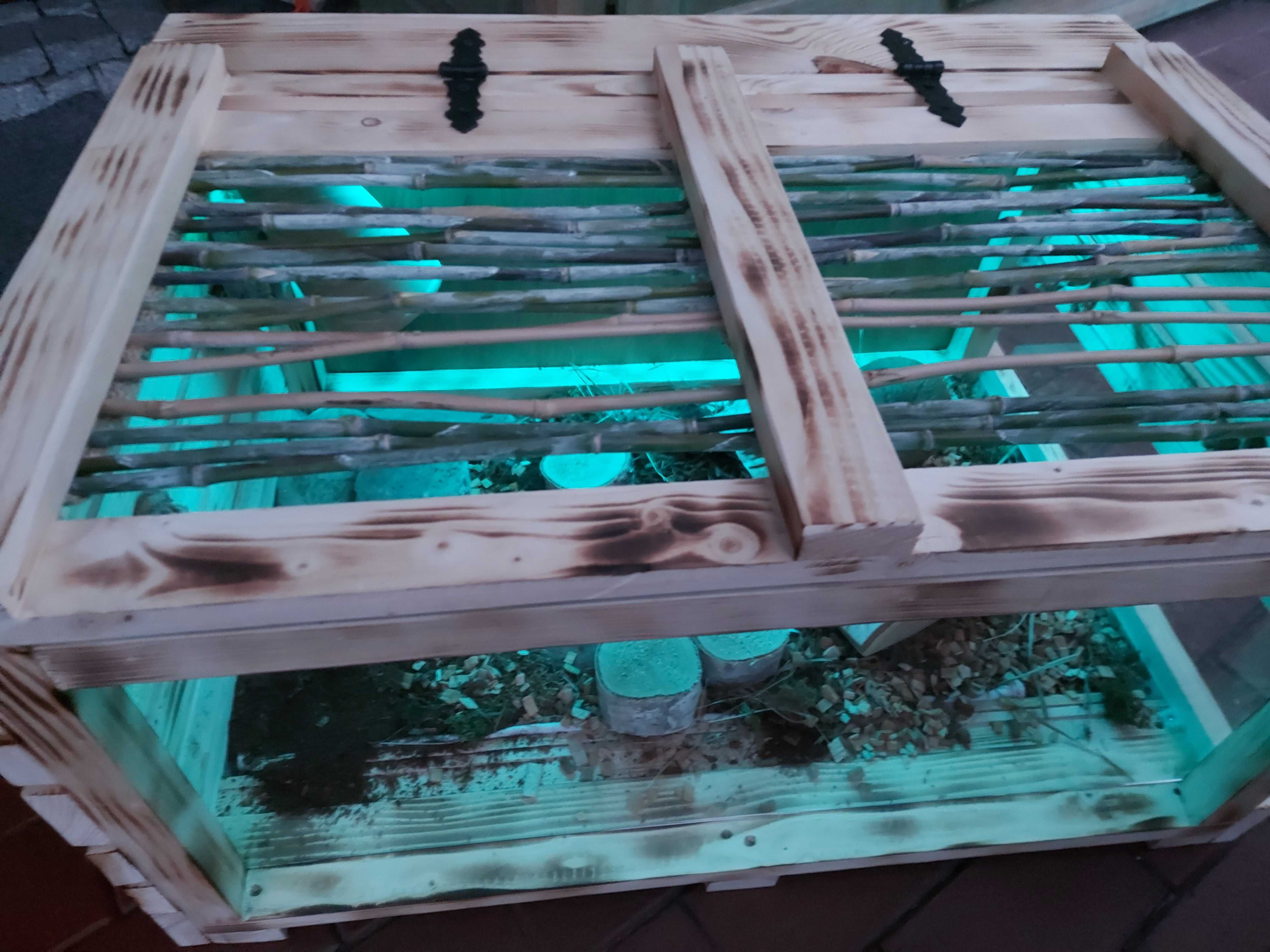 Terrarium dla żółwia greckiego