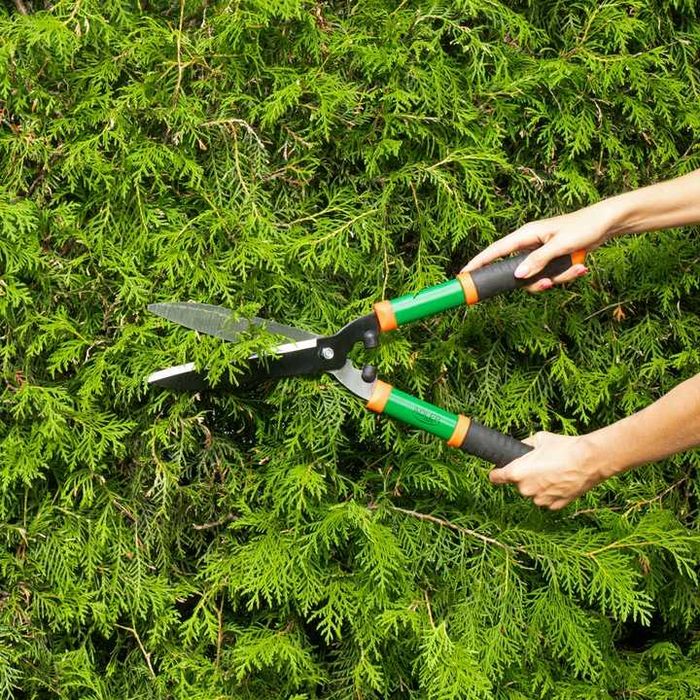 ZESTAW 3 sztuk SEKATOR do GAŁĘZI do ŻWYOPŁOTU Nożyce Ogrodowe