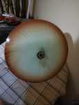 lampa tzw.parasolka stara