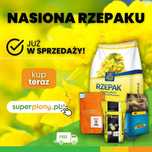 Nasiona rzepaku ozimego Auckland Wysyłka Gratis!
