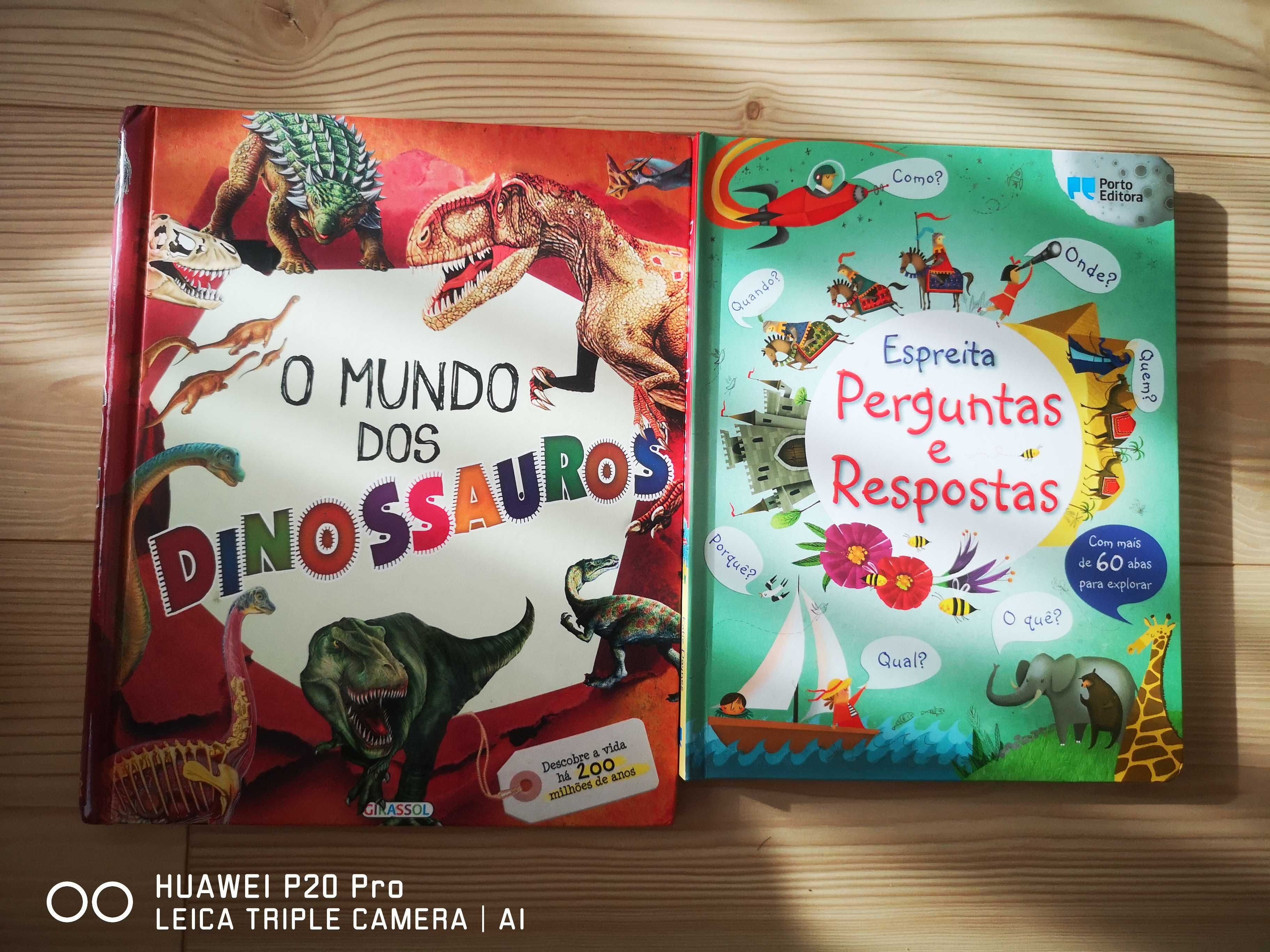 Lote 2 livros - Dinossauros e interativo de perguntas e respostas