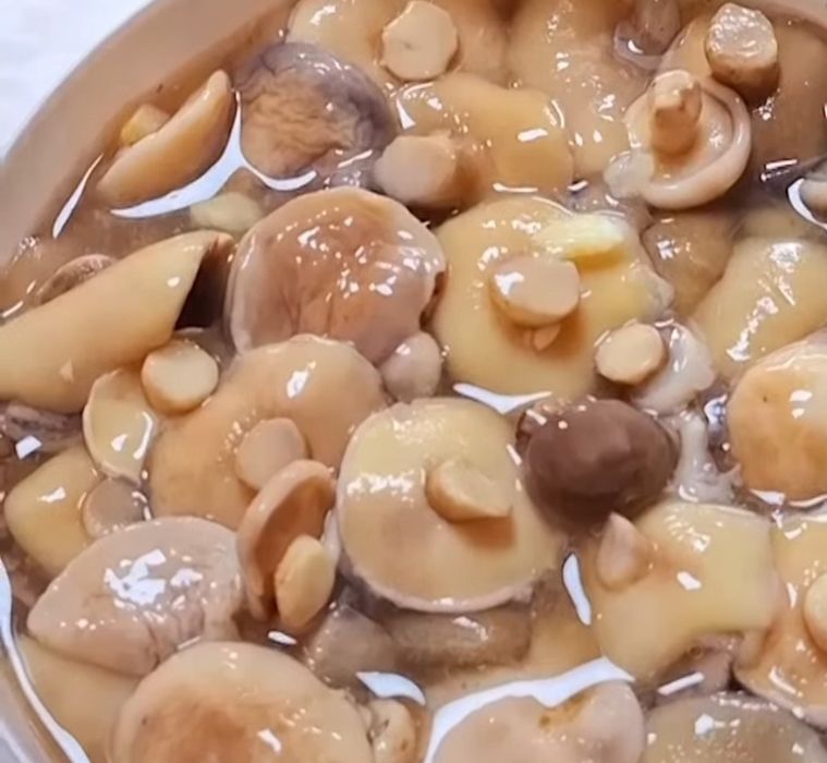 Солені опеньки лисичка маслюк