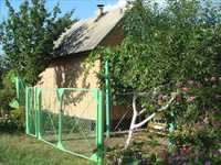Дачний будинок у Петрівці