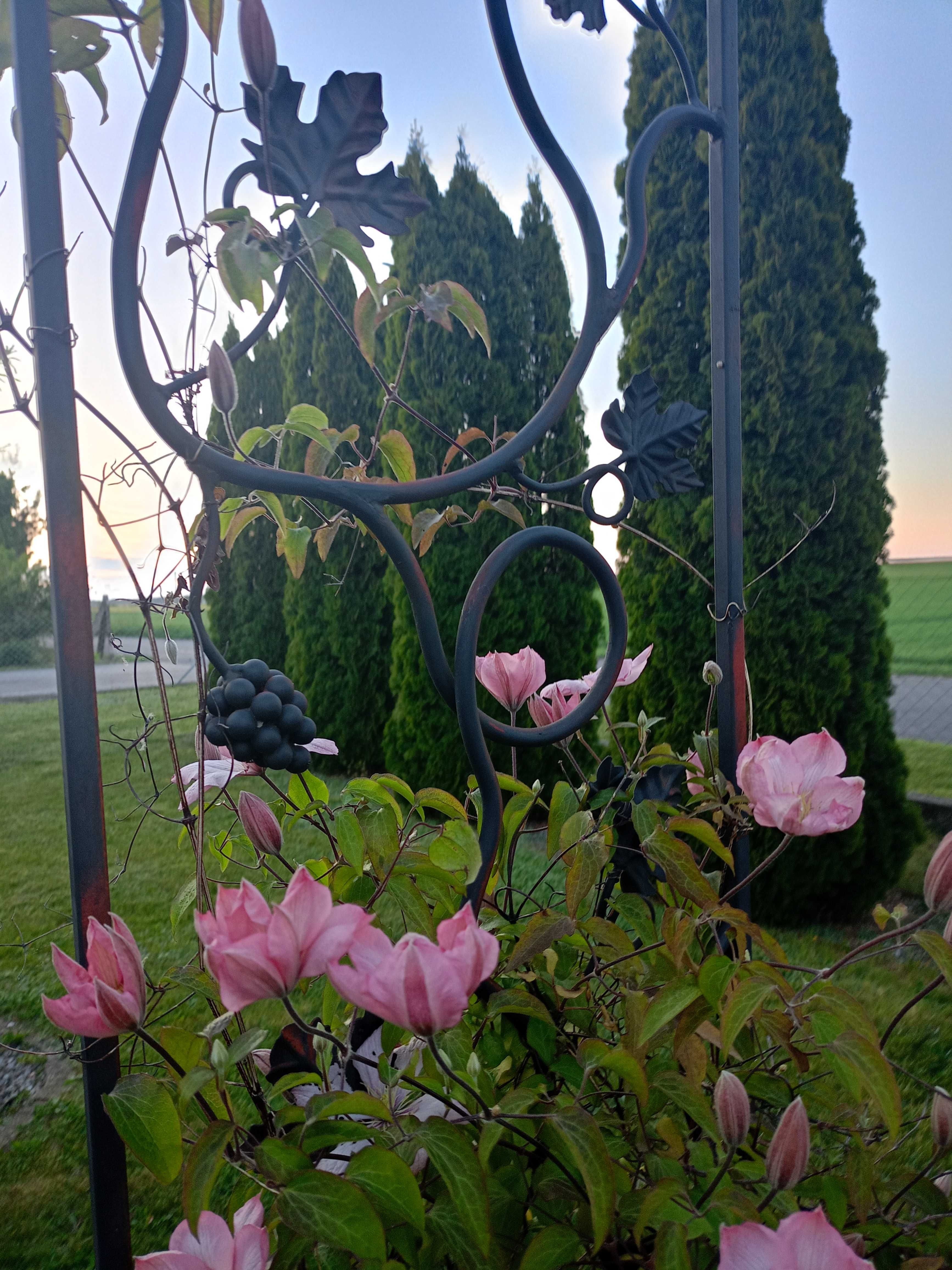 Pergola metalowa kuta do kwiatów