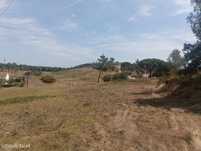 Terreno urbano, para venda, Rio Maior - São João da Ribeira e Ribei...