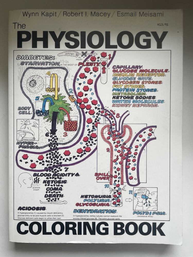 Physiology coloring book, książka do kolorowania po angielsku