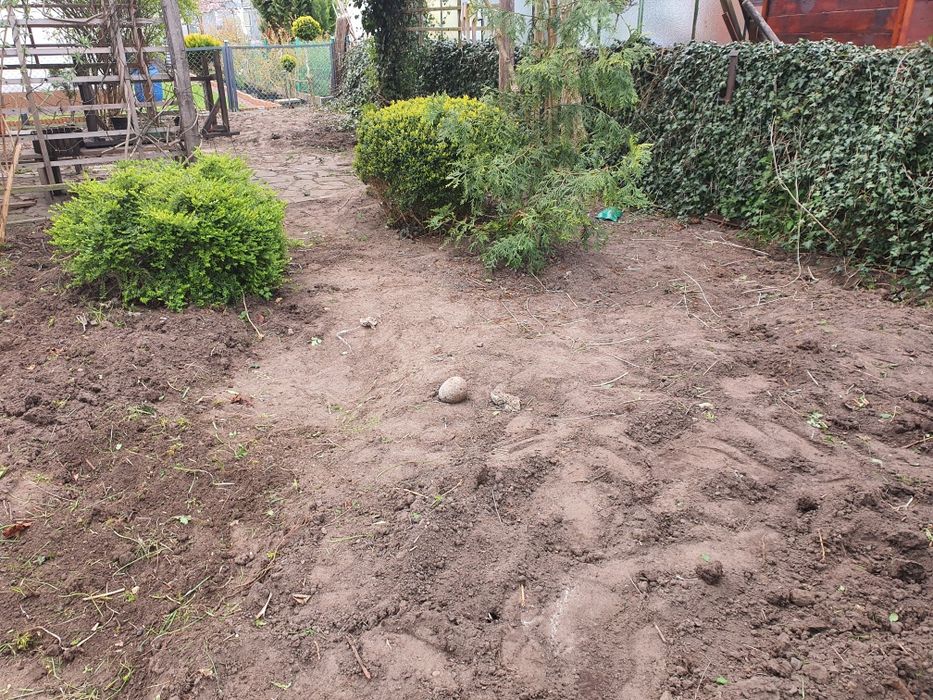 Sprzątanie,prace porządkowe na dzialce,ogrodzie,rozbiorka ,smieci,złom