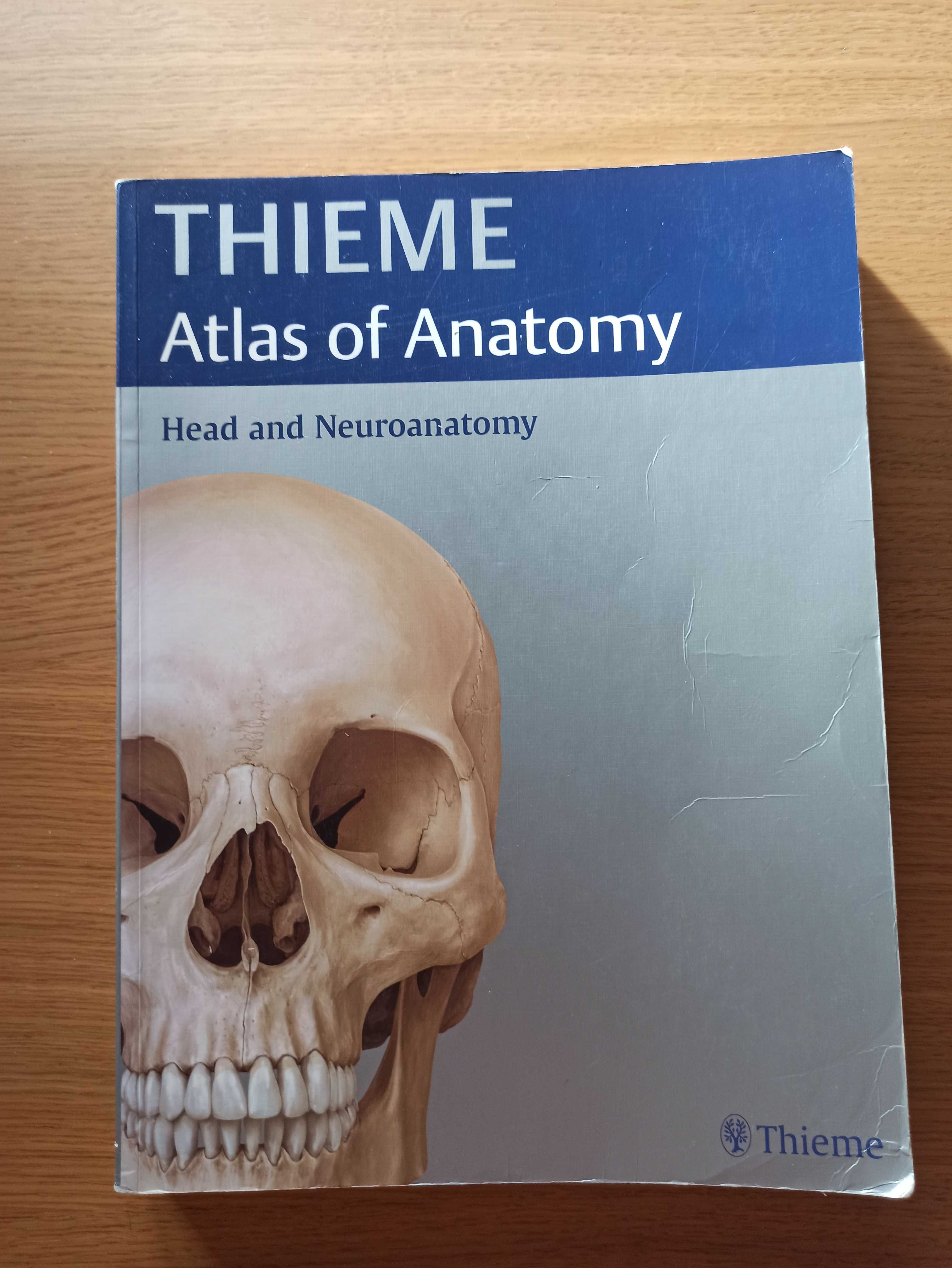 Thieme atlas of anatomy head and neuroanatomy