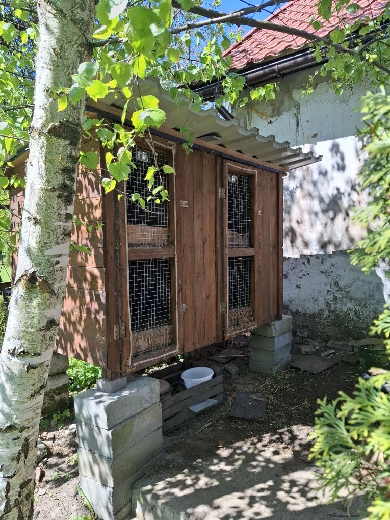 Klatka dla królików
