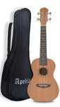 Ukulele Apelila концерт