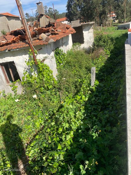 Terreno com casa em ruína.