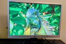 Monitor LG flatron L225WS 22" polegadas + adaptador HDMI