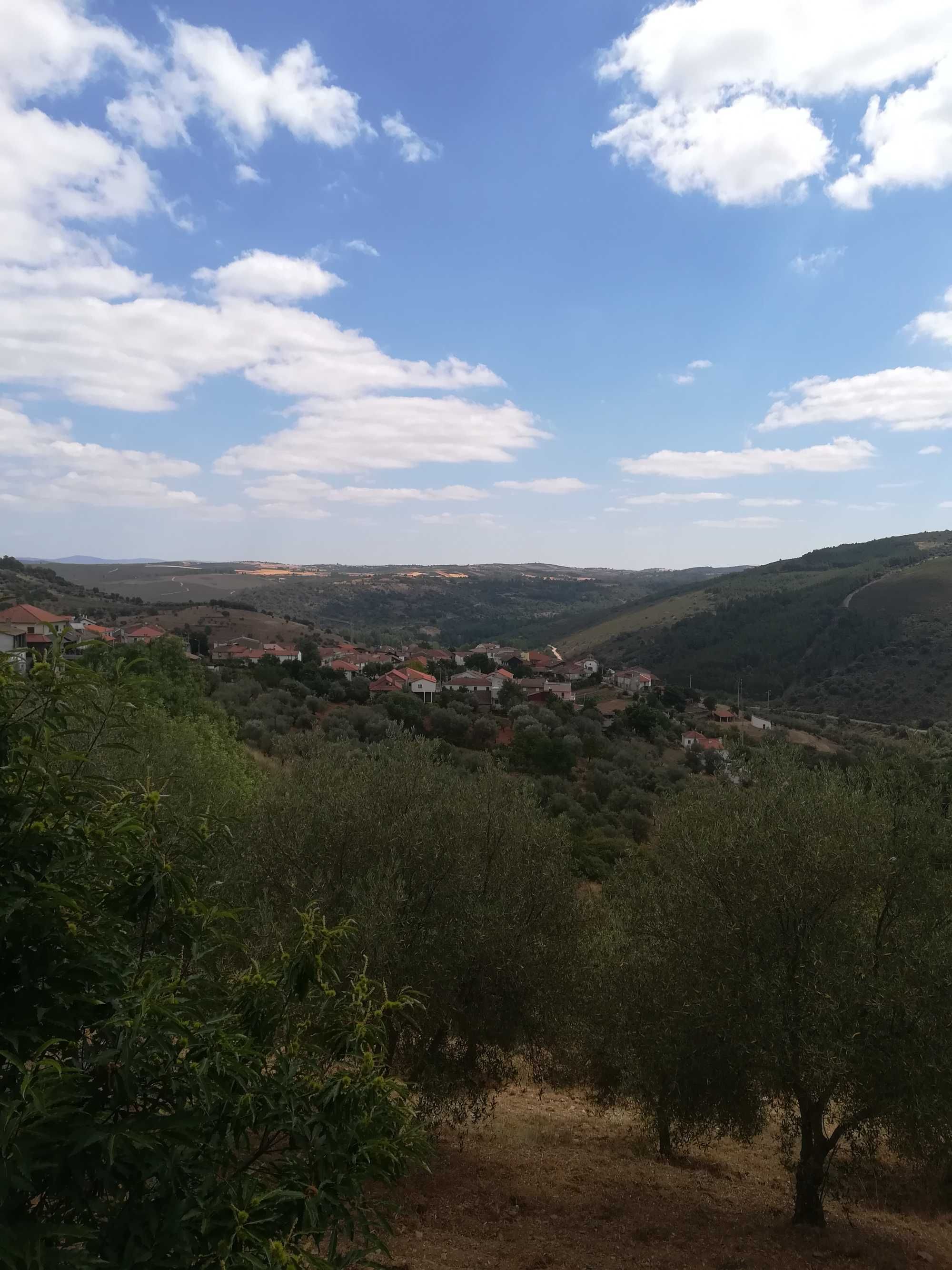 Terrenos urbanos em Quintanilha, Bragança, com 17.000m2