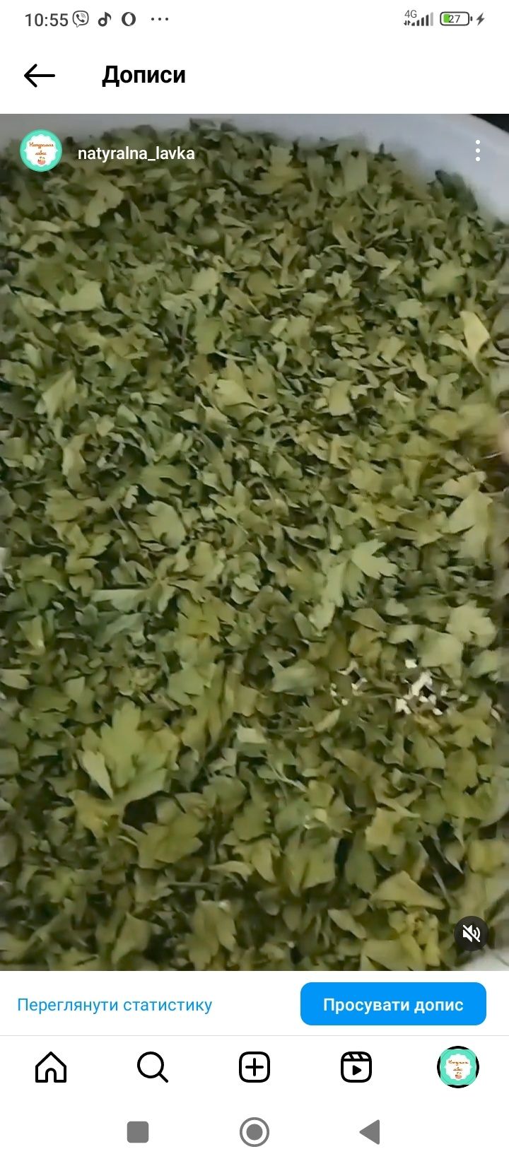 Петрушка сушена запашна зелена