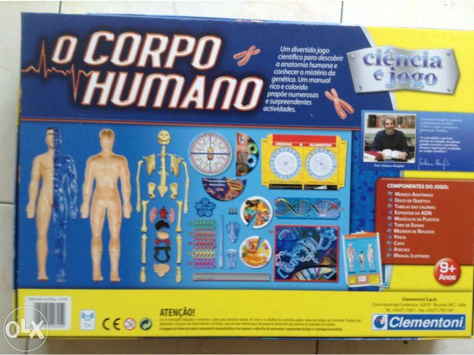 Jogo " o corpo humano"