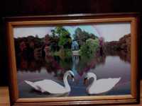 картина лебеди Умань