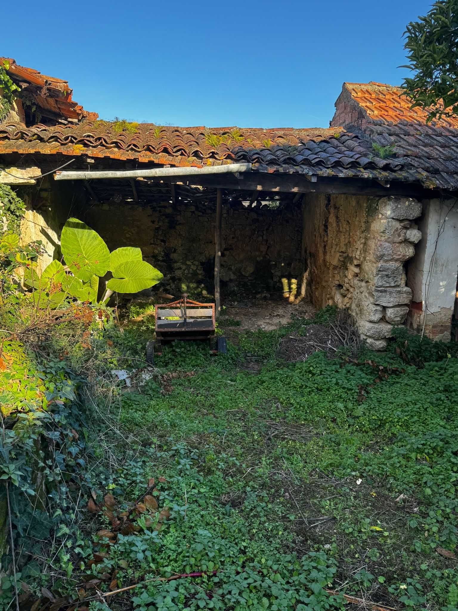 Habitação para reconstrução