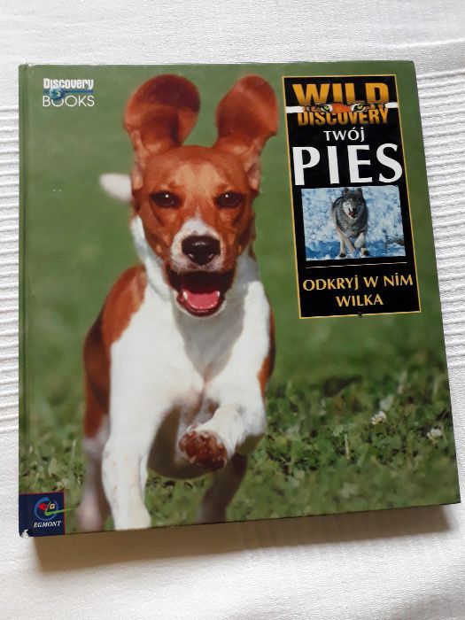 Twój Pies odkryj w nim Wilka Discovery Books Egmont ilustrowana Wawa