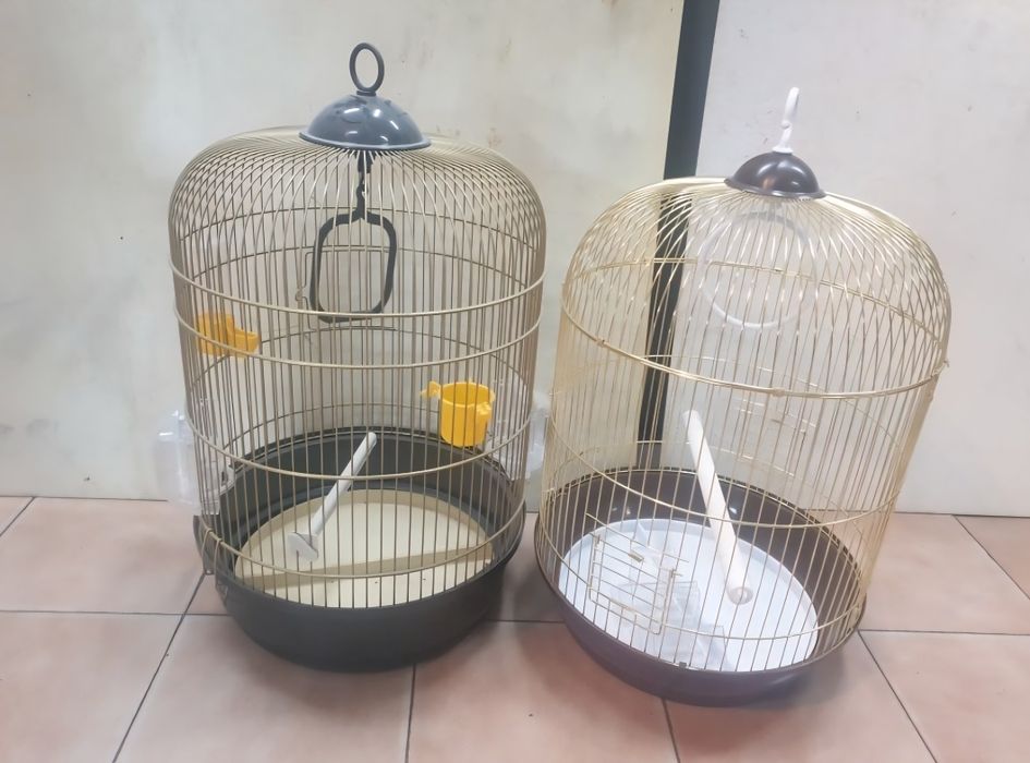 Grande variedades de gaiolas