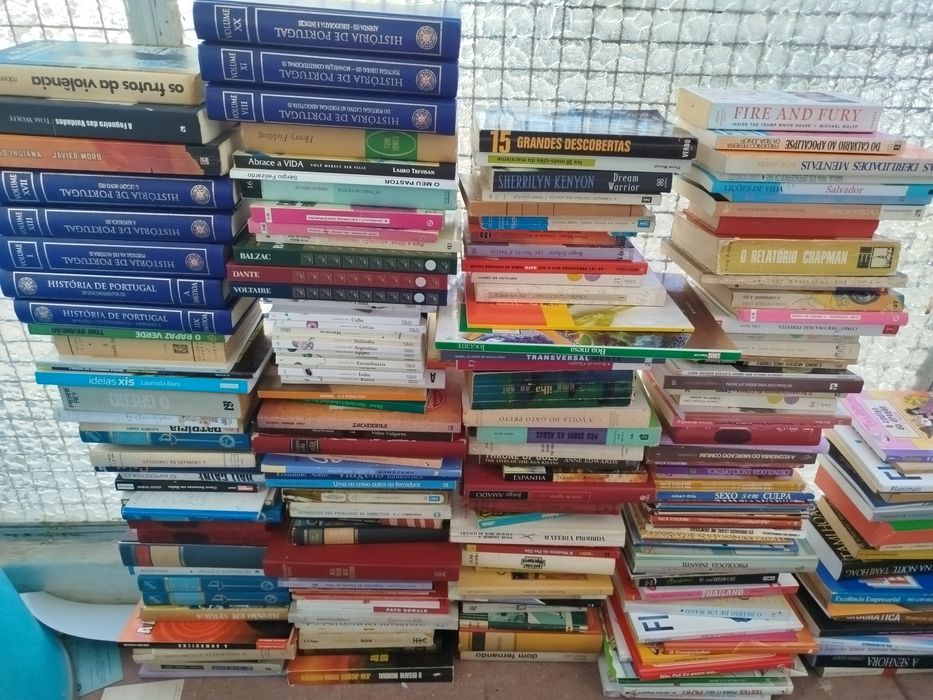 Lote de 505 livros
