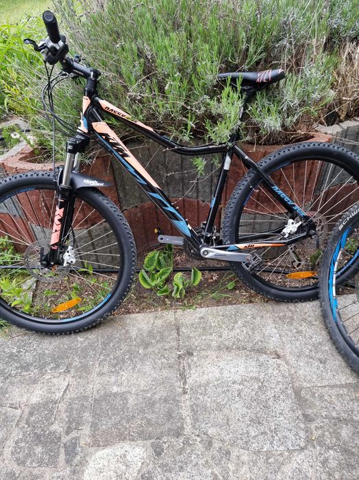 Rower Górski KTM Baggy Sue