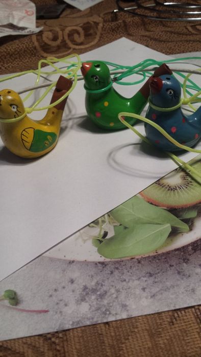 kaczuszki spiewające