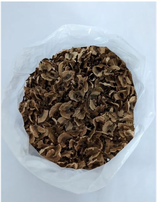 Перетенки волоського горіха 2024 року