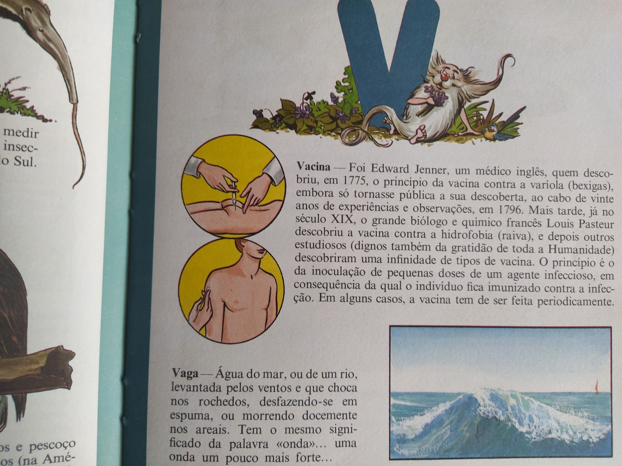 Enciclopédia infantil ilustrada / Enciclopédia Fundamental Verbo