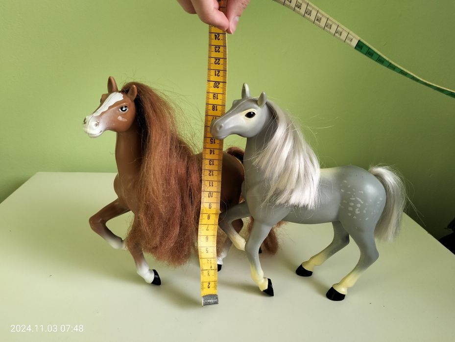 Konie koniki ROYAL BREEDS