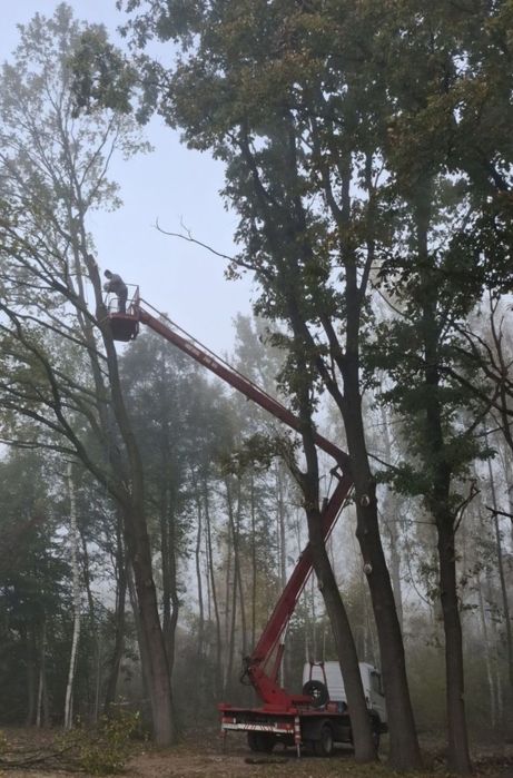 Wycinka podcinanie drzew podnośnik