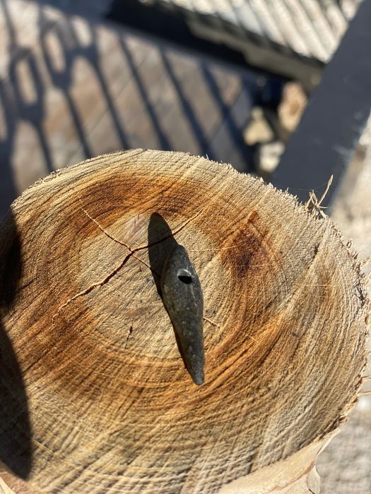 Colares estilizados pela Mãe Natureza