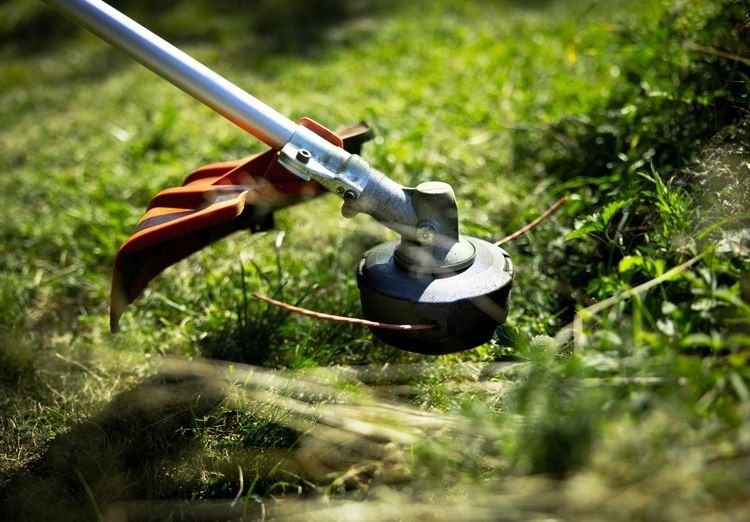 Serviços limpeza/manutenção de terrenos e jardins