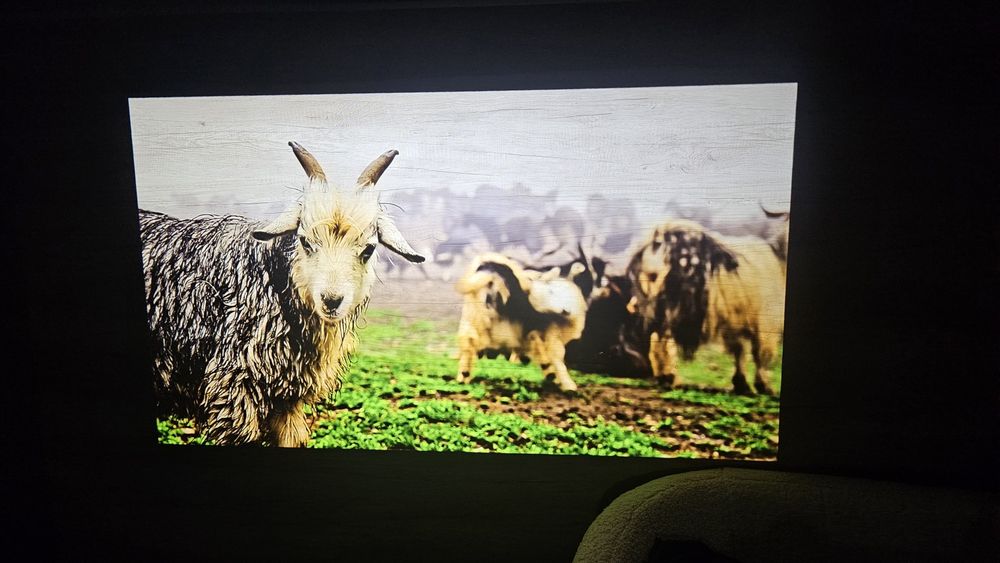 Проектор Thundeal TD98Pro