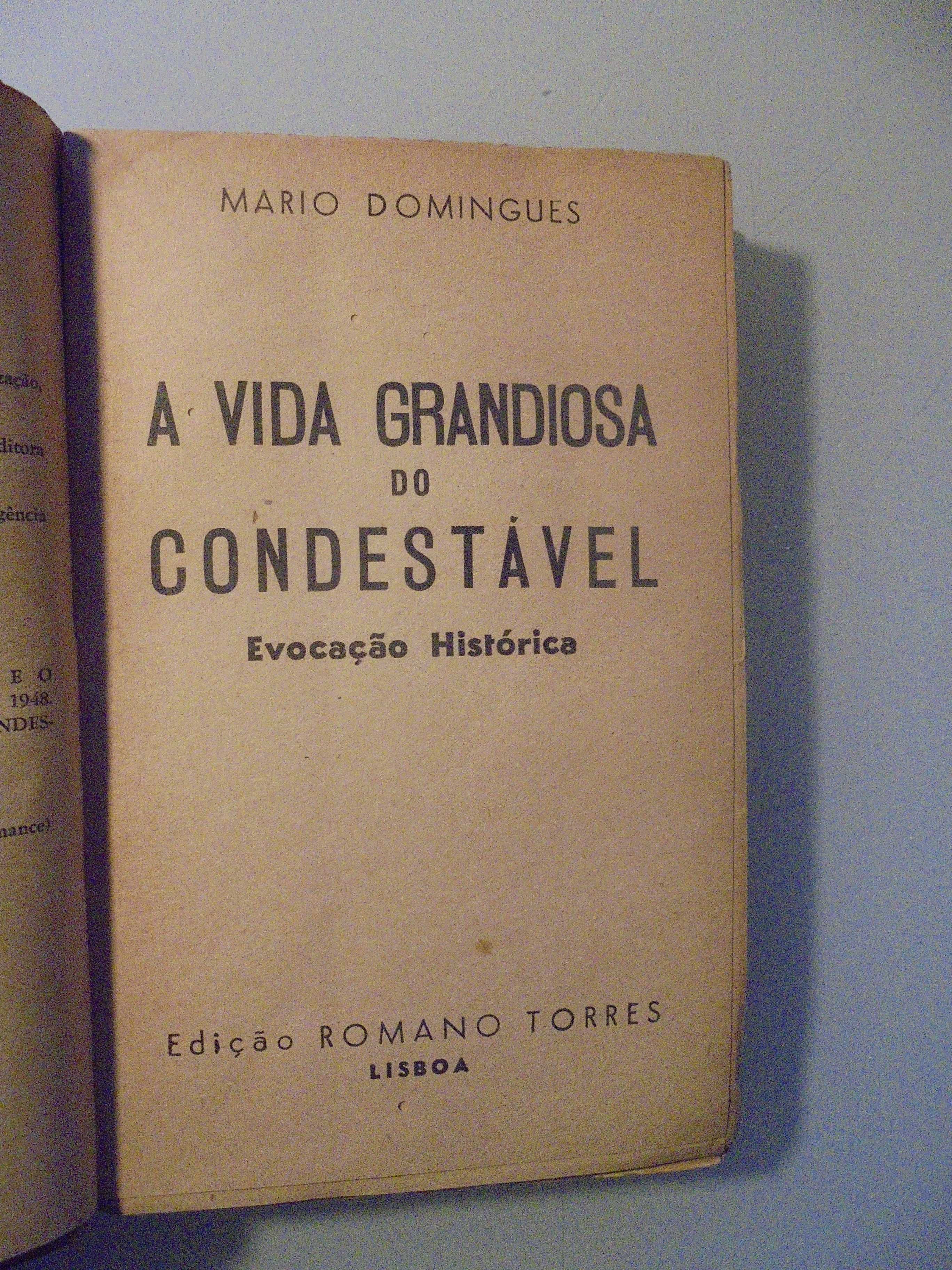 Domingues (Mário);Nuno Álvares Pereira