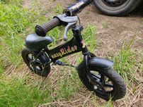Rowerek biegowy easyRider