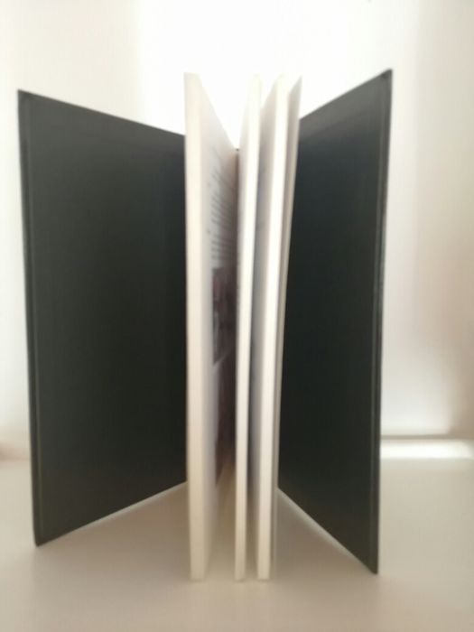 Livro Etiqueta e Boas Maneiras, Ana de São Gião