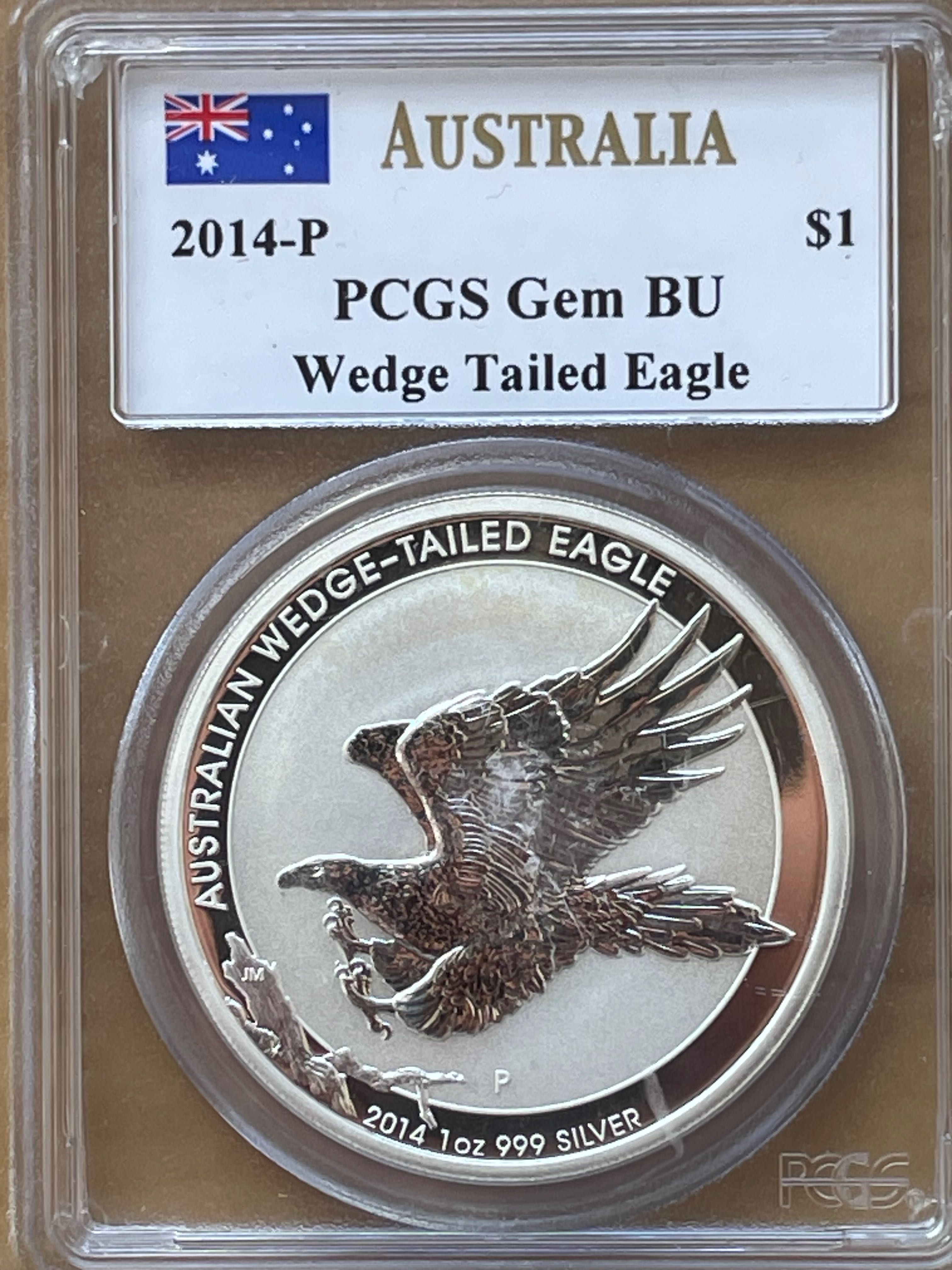 Australian Wedge-tailed Eagle 2014 w slabie PCGS