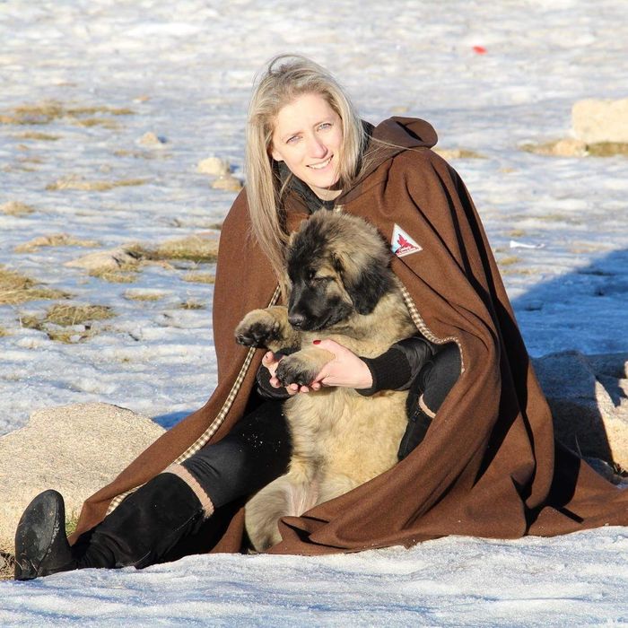 Cachorro Serra da Estrela com Lop e Afixo