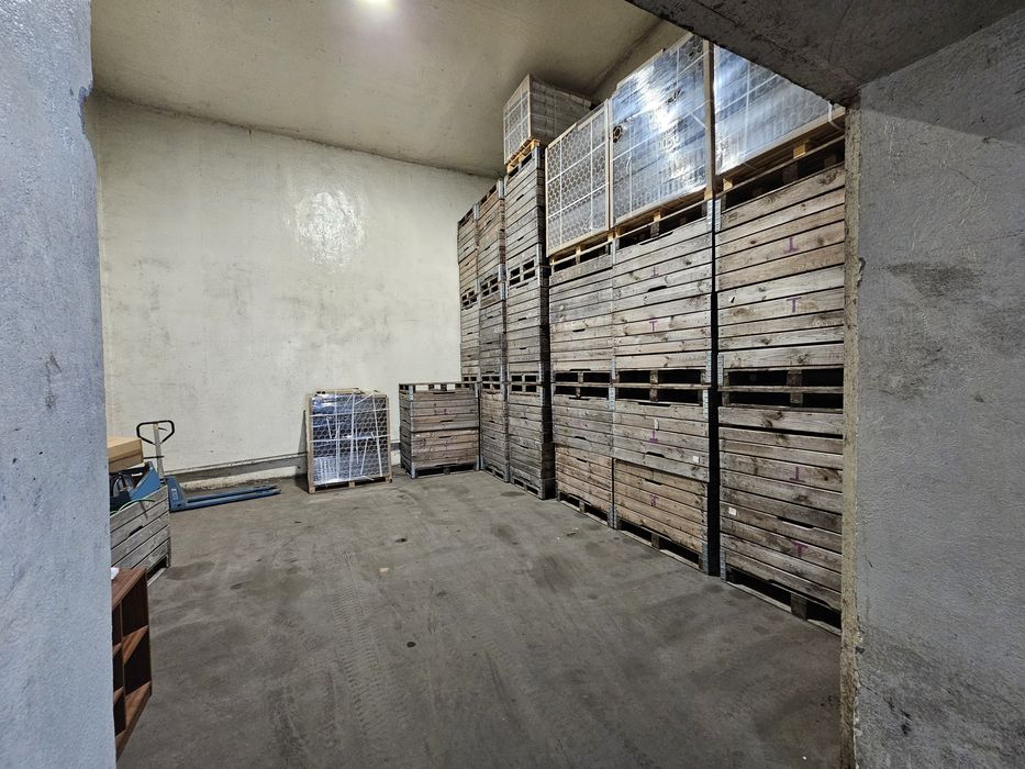 Magazyn 50m2/100m2/150m2/200m2, Góra Kalwaria, blisko DK 50 - Bezpośre