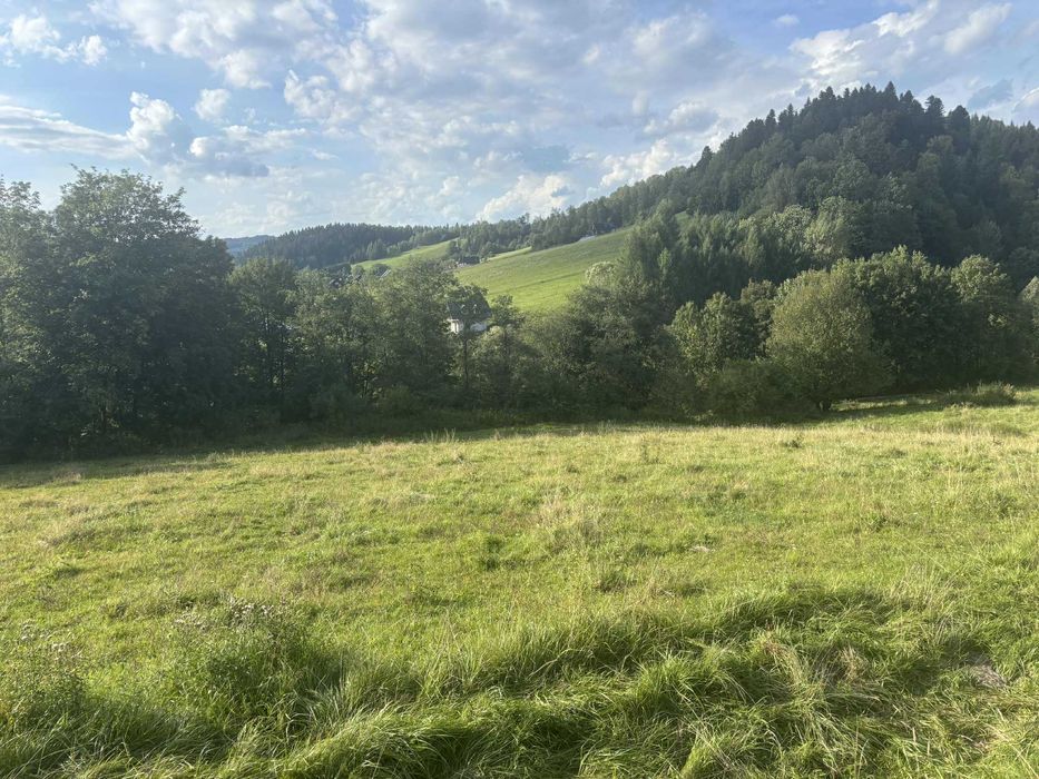 Bieszczady Jezioro Solińskie Zawóz blisko wody - 923m/2